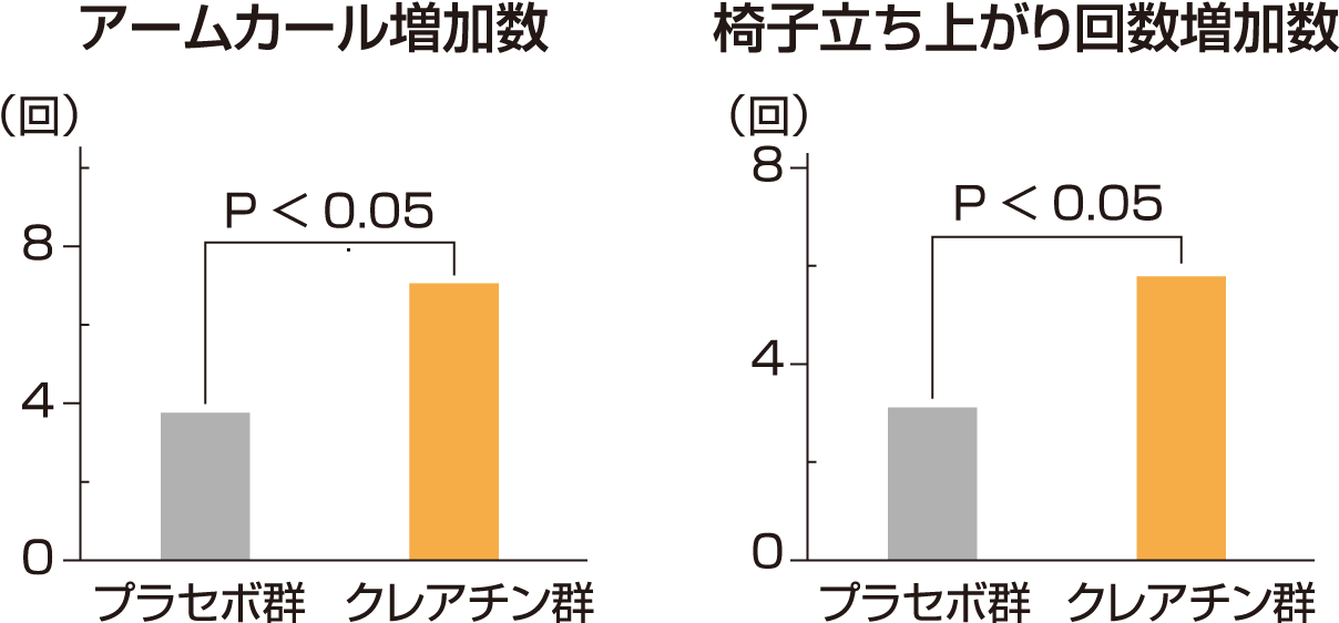 長期間のクレアチン摂取効果
