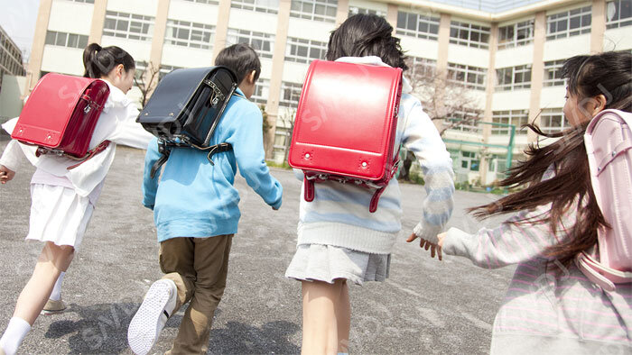 必須アミノ酸不足による成長遅滞の新機構が明らかに、成長制御機構の解明に期待　東京大学